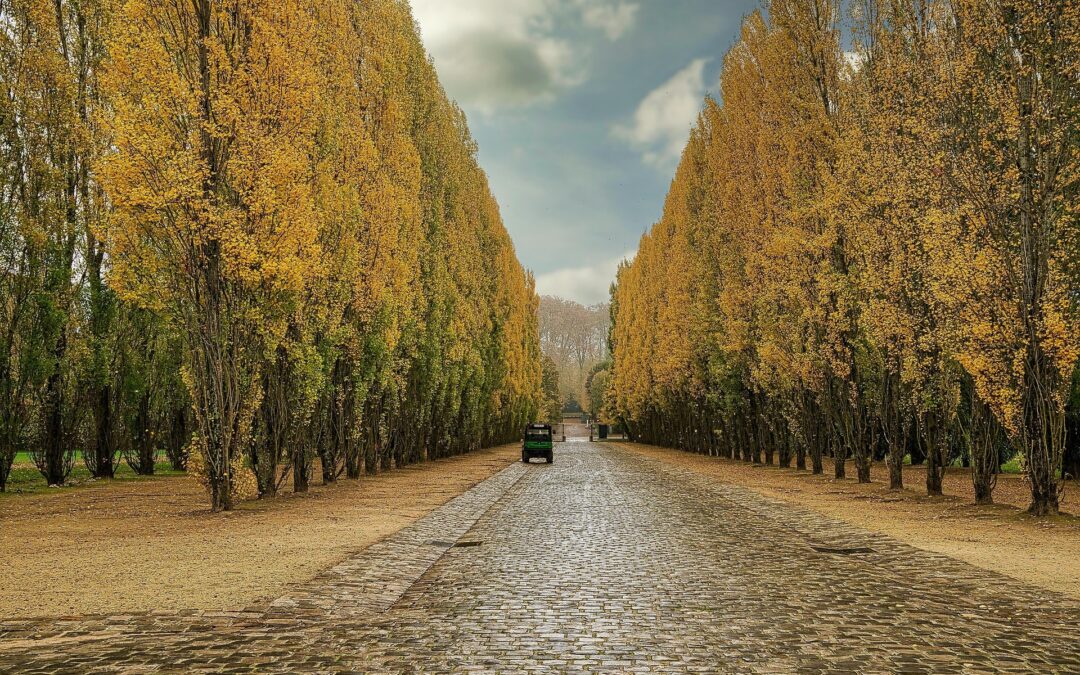 Gîte proche Gif-sur-Yvette : hébergement nature accessible en RER