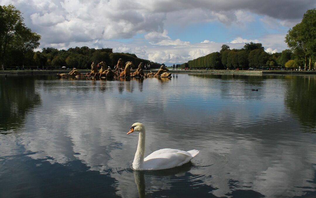 Cottage in Chevreuse: why it's the perfect nature getaway near Paris