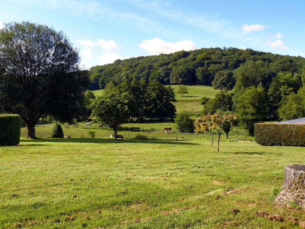 Prairie verdoyante devant une colline boisée